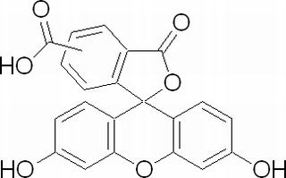 CF-羧基熒光素