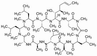 環孢霉素A