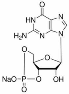 3',5'-環一磷酸鳥苷鈉鹽