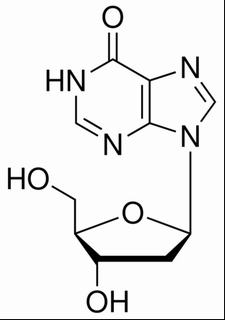 2ˊ-脫氧次黃嘌呤核苷