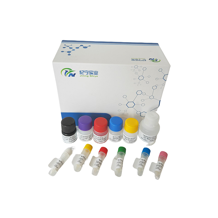 魚增殖細胞核抗原抗體（PCNA）ELISA試劑盒