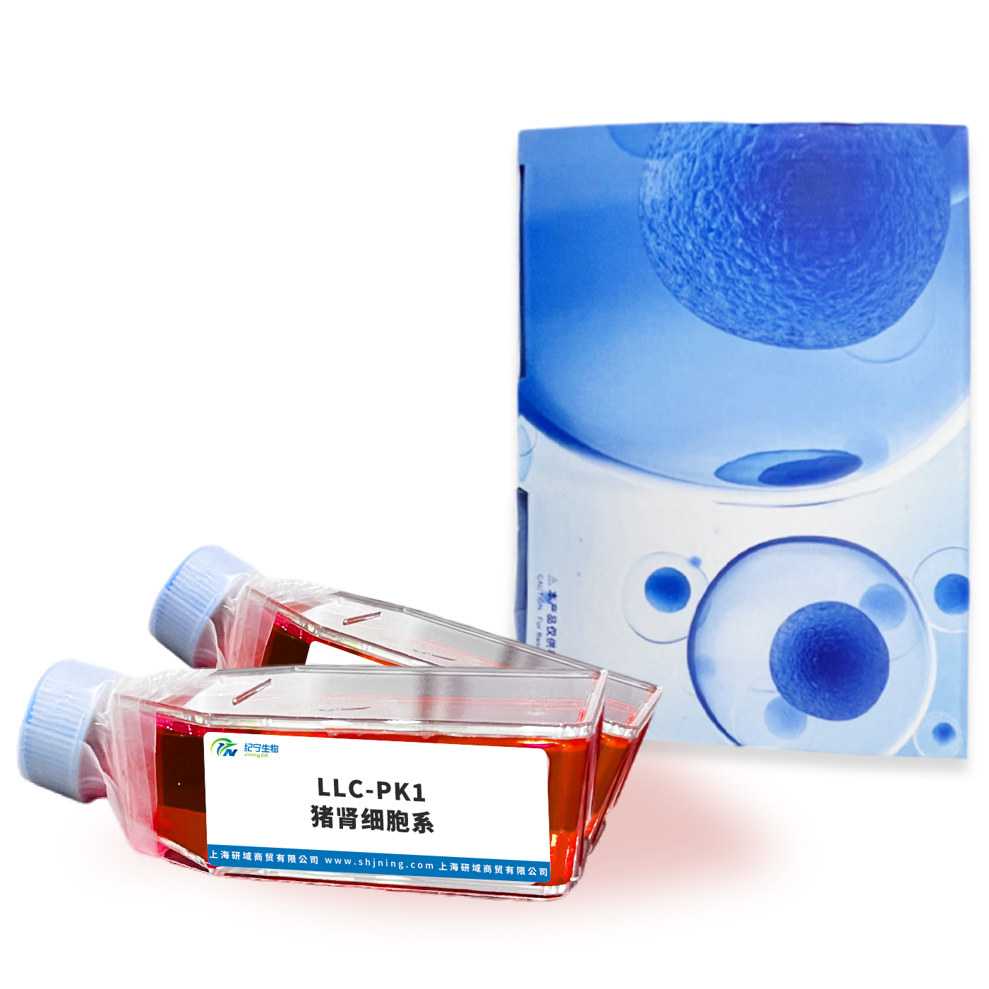 LLC-PK1豬腎細胞系