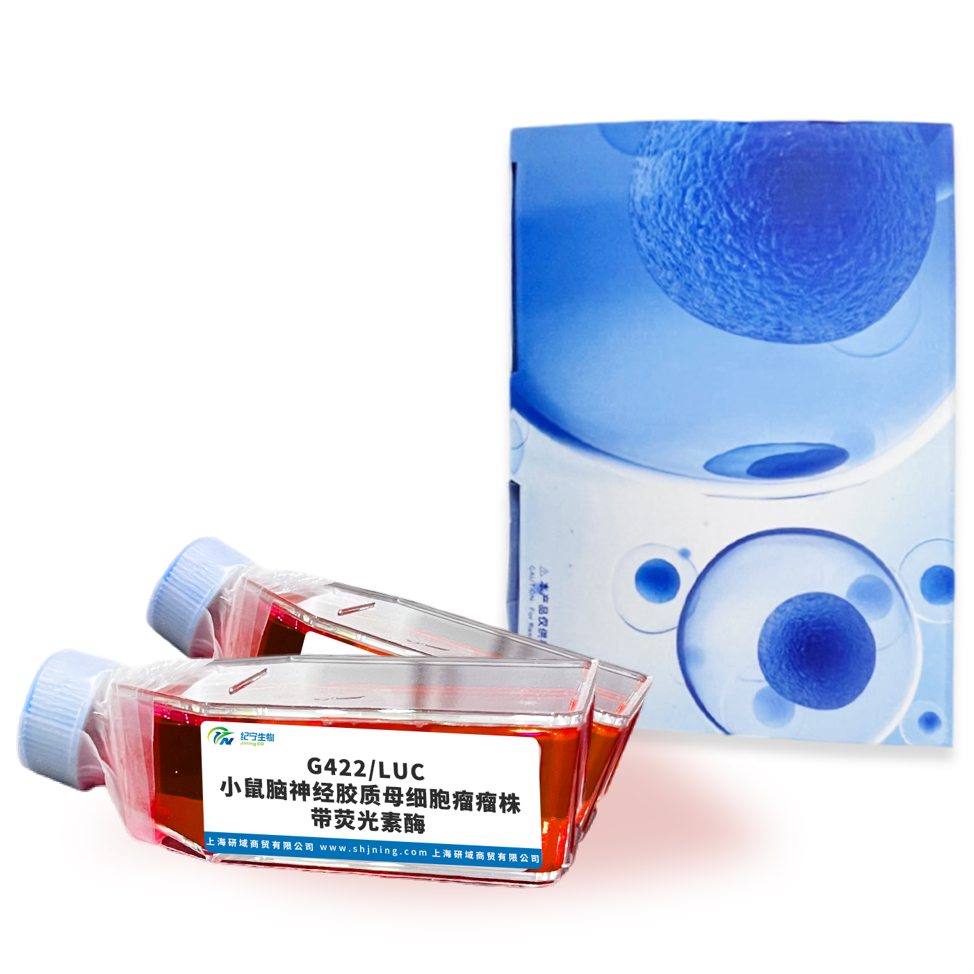 G422/LUC 小鼠腦神經膠質母細胞瘤瘤株帶熒光素酶