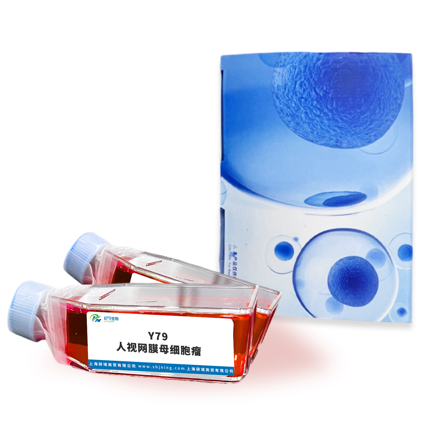 Y79人視網(wǎng)膜母細(xì)胞瘤
